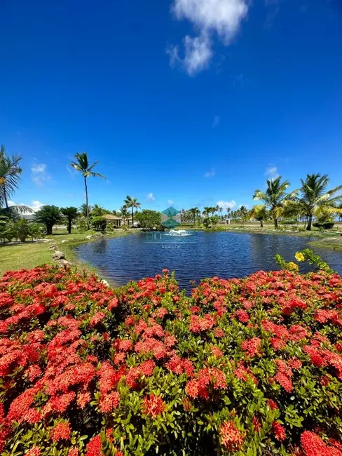 Foto 9 de Terreno / Lote à venda em Mata De Sao Joao - BA