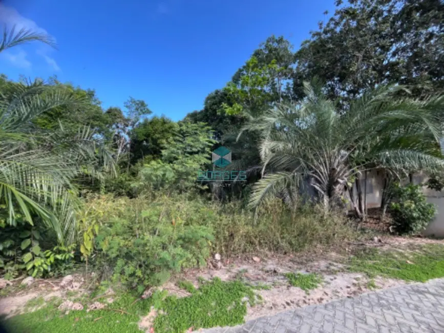 Foto 1 de Terreno / Lote à venda em Mata De Sao Joao - BA