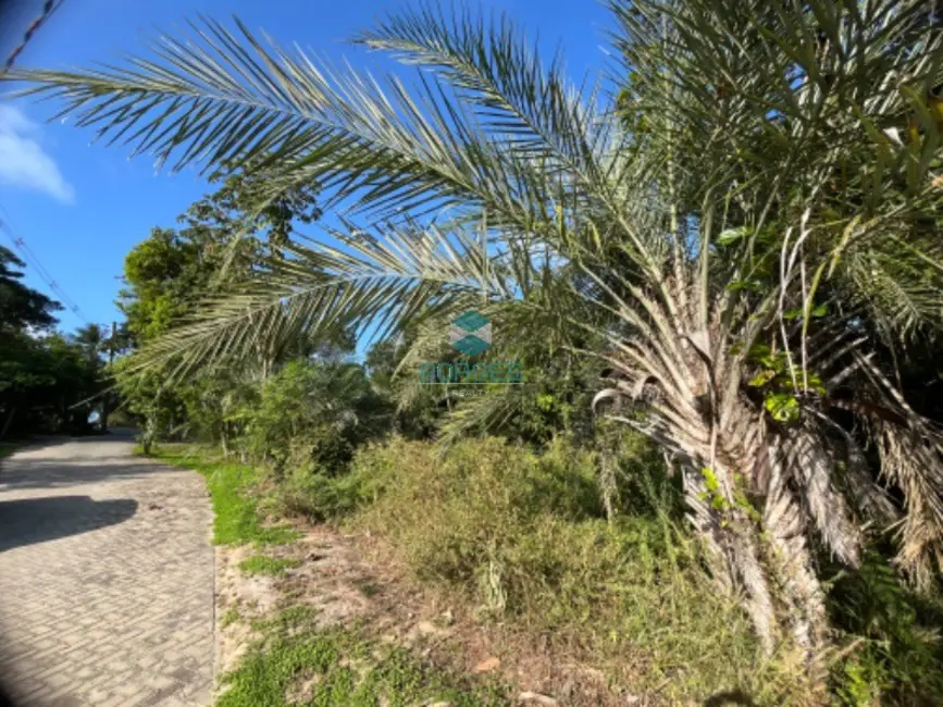 Terreno / Lote à venda em Mata De Sao Joao - BA - imagem 4 Foto 4 de Terreno / Lote à venda em Mata De Sao Joao - BA
