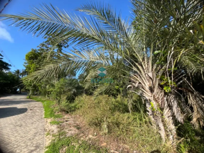 Terreno / Lote à venda em Mata De Sao Joao - BA - imagem 3 Foto 3 de Terreno / Lote à venda em Mata De Sao Joao - BA