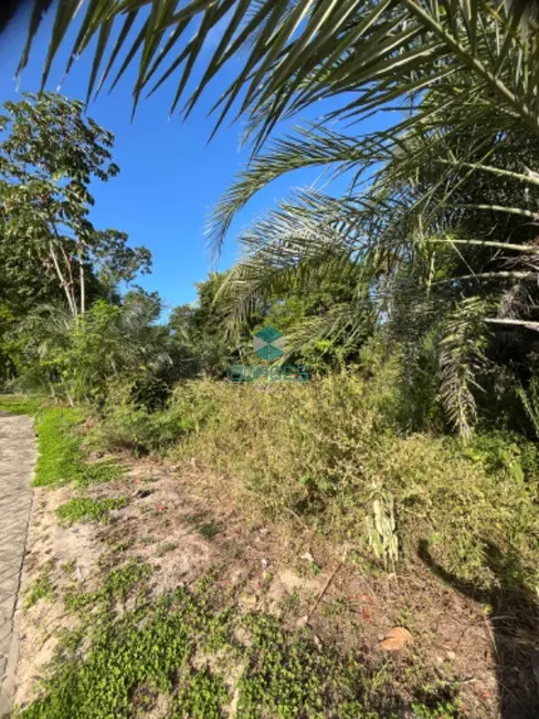 Terreno / Lote à venda em Mata De Sao Joao - BA - imagem 9 Foto 9 de Terreno / Lote à venda em Mata De Sao Joao - BA