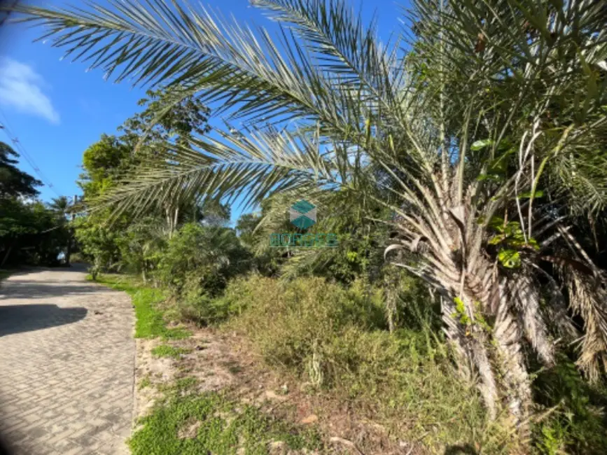 Terreno / Lote à venda em Mata De Sao Joao - BA - imagem 6 Foto 6 de Terreno / Lote à venda em Mata De Sao Joao - BA