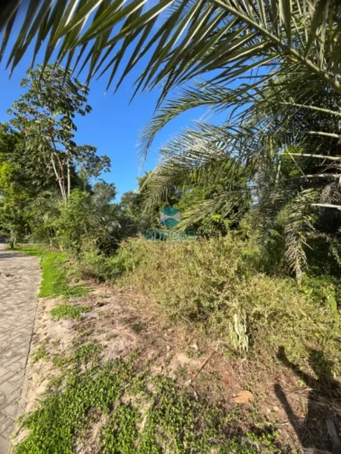 Terreno / Lote à venda em Mata De Sao Joao - BA - imagem 8 Foto 8 de Terreno / Lote à venda em Mata De Sao Joao - BA