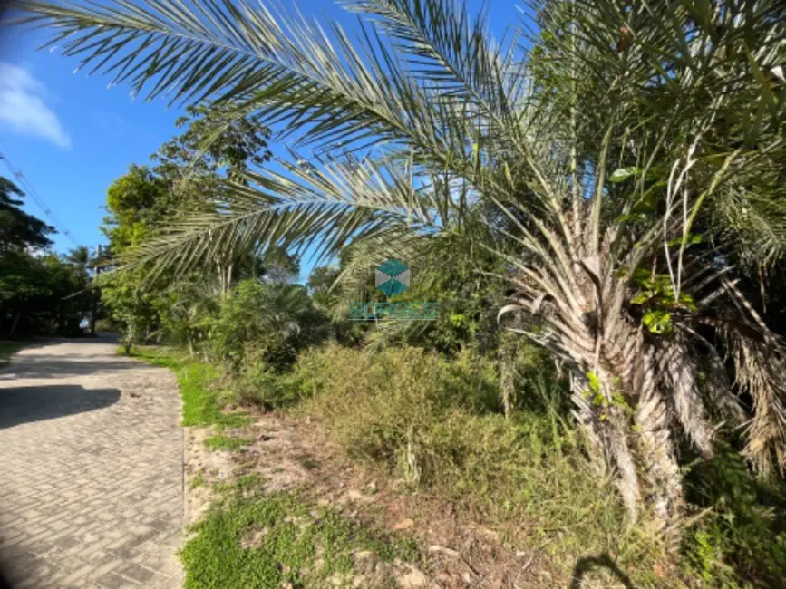Terreno / Lote à venda em Mata De Sao Joao - BA - imagem 5 Foto 5 de Terreno / Lote à venda em Mata De Sao Joao - BA