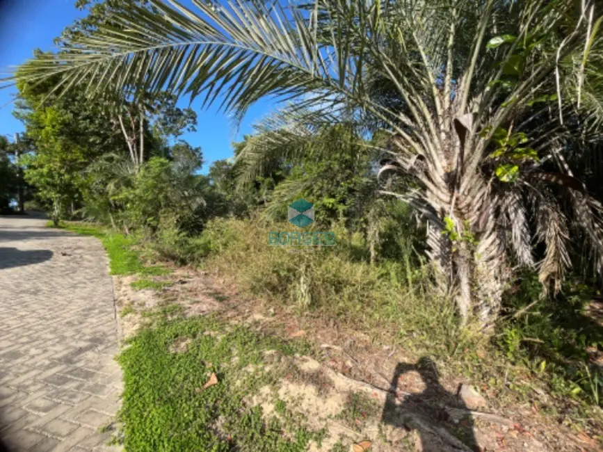 Terreno / Lote à venda em Mata De Sao Joao - BA - imagem 7 Foto 7 de Terreno / Lote à venda em Mata De Sao Joao - BA