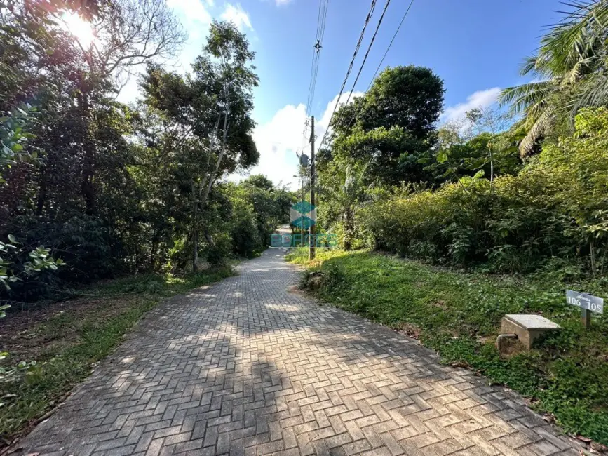 Foto 2 de Terreno / Lote à venda em Mata De Sao Joao - BA