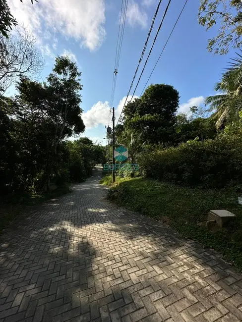 Foto 4 de Terreno / Lote à venda em Mata De Sao Joao - BA