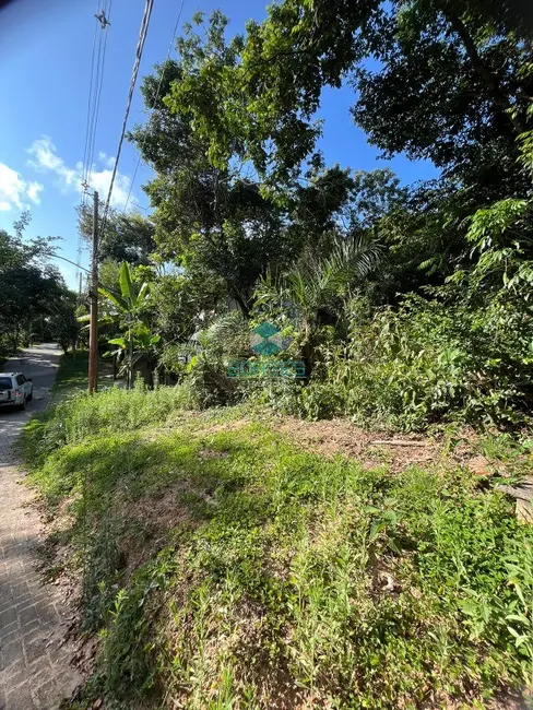 Terreno / Lote à venda em Mata De Sao Joao - BA - imagem 5 Foto 5 de Terreno / Lote à venda em Mata De Sao Joao - BA