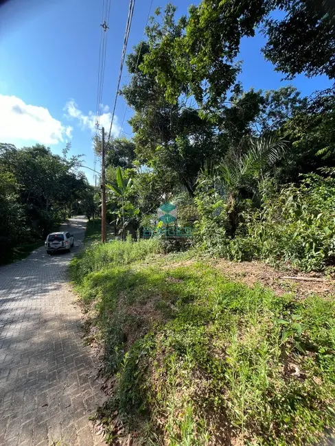 Terreno / Lote à venda em Mata De Sao Joao - BA - imagem 7 Foto 7 de Terreno / Lote à venda em Mata De Sao Joao - BA