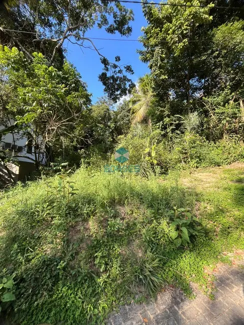 Terreno / Lote à venda em Mata De Sao Joao - BA - imagem 8 Foto 8 de Terreno / Lote à venda em Mata De Sao Joao - BA