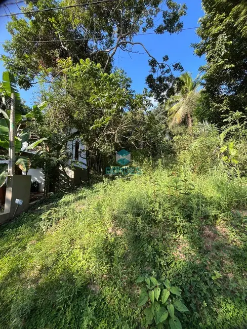 Terreno / Lote à venda em Mata De Sao Joao - BA - imagem 9 Foto 9 de Terreno / Lote à venda em Mata De Sao Joao - BA