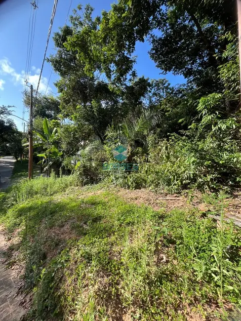 Terreno / Lote à venda em Mata De Sao Joao - BA - imagem 6 Foto 6 de Terreno / Lote à venda em Mata De Sao Joao - BA