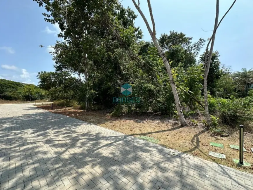 Foto 3 de Terreno / Lote à venda, 700m2 em Mata De Sao Joao - BA