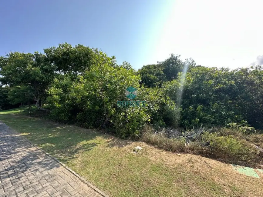 Terreno / Lote à venda em Mata De Sao Joao - BA - imagem 9 Foto 9 de Terreno / Lote à venda em Mata De Sao Joao - BA