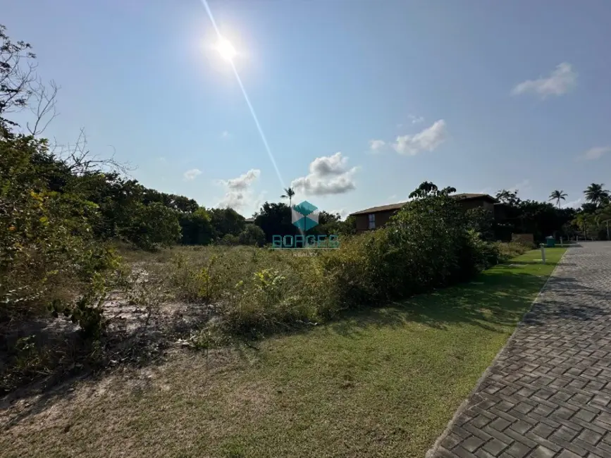 Terreno / Lote à venda em Mata De Sao Joao - BA - imagem 3 Foto 3 de Terreno / Lote à venda em Mata De Sao Joao - BA