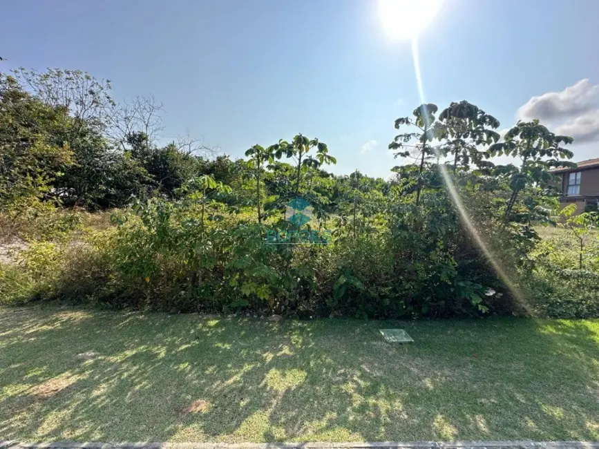 Terreno / Lote à venda em Mata De Sao Joao - BA - imagem 2 Foto 2 de Terreno / Lote à venda em Mata De Sao Joao - BA