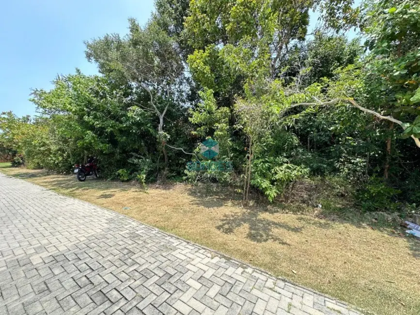 Terreno / Lote à venda, 700m2 em Mata De Sao Joao - BA - imagem 3 Foto 3 de Terreno / Lote à venda, 700m2 em Mata De Sao Joao - BA