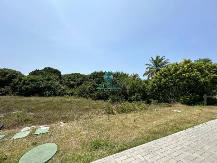 Terreno / Lote à venda, 700m2 em Mata De Sao Joao - BA - imagem 3 Foto 3 de Terreno / Lote à venda, 700m2 em Mata De Sao Joao - BA