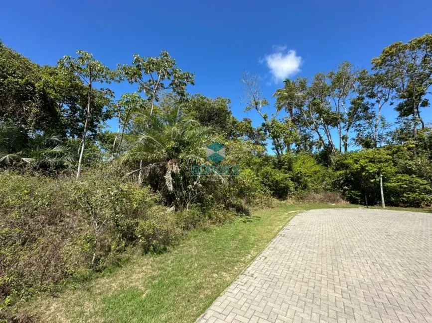 Terreno / Lote à venda, 700m2 em Mata De Sao Joao - BA - imagem 3 Foto 3 de Terreno / Lote à venda, 700m2 em Mata De Sao Joao - BA