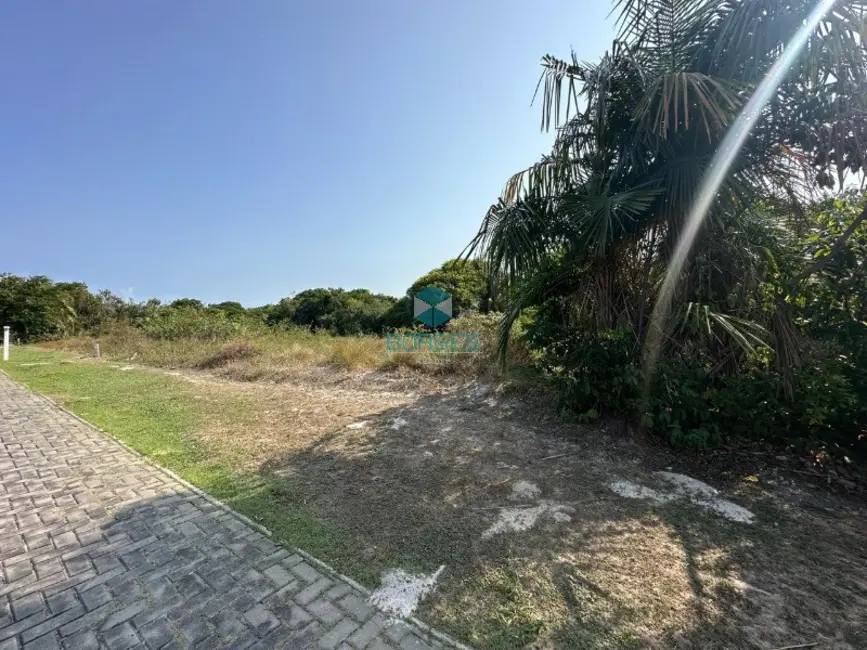 Terreno / Lote à venda em Mata De Sao Joao - BA - imagem 3 Foto 3 de Terreno / Lote à venda em Mata De Sao Joao - BA