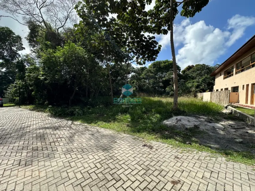 Terreno / Lote à venda, 700m2 em Mata De Sao Joao - BA - imagem 3 Foto 3 de Terreno / Lote à venda, 700m2 em Mata De Sao Joao - BA