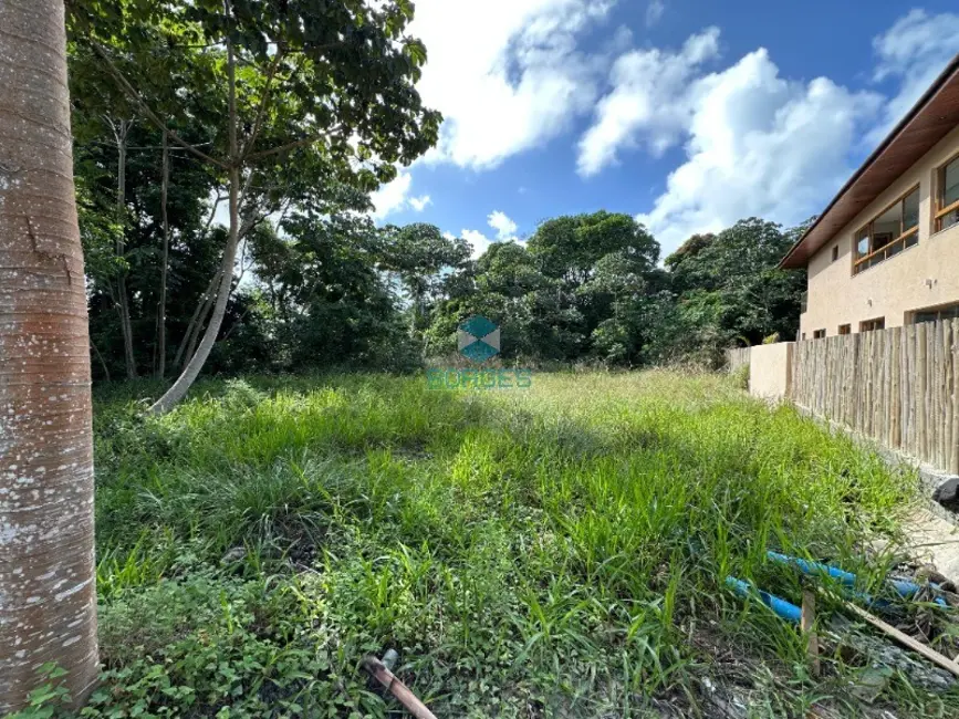 Terreno / Lote à venda, 700m2 em Mata De Sao Joao - BA - imagem 4 Foto 4 de Terreno / Lote à venda, 700m2 em Mata De Sao Joao - BA