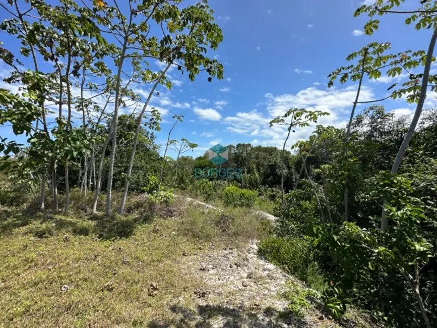 Foto 4 de Terreno / Lote à venda, 700m2 em Mata De Sao Joao - BA