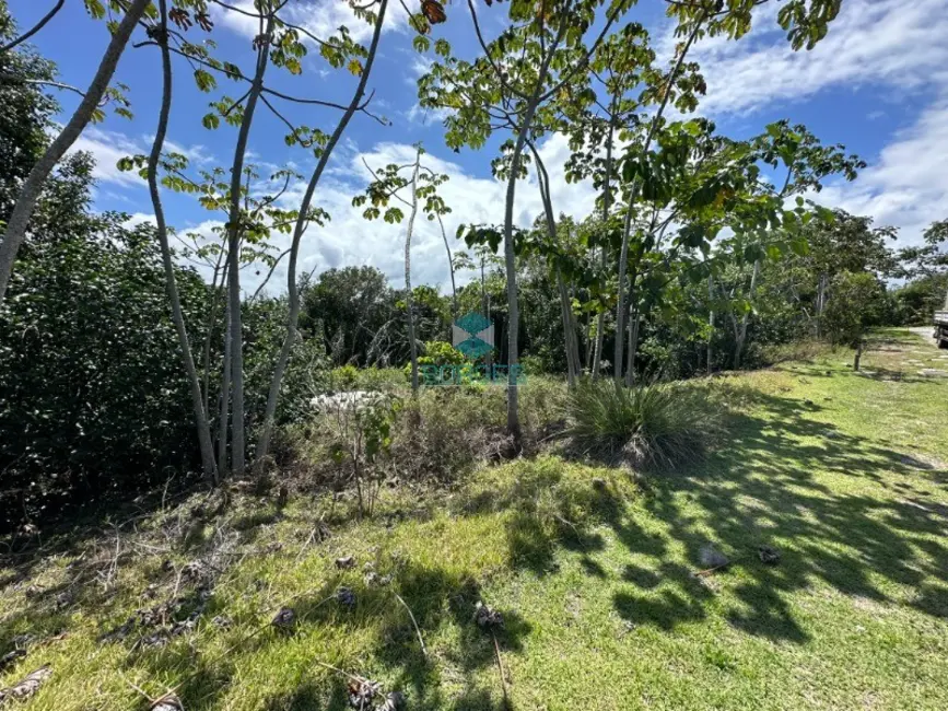 Foto 6 de Terreno / Lote à venda, 700m2 em Mata De Sao Joao - BA