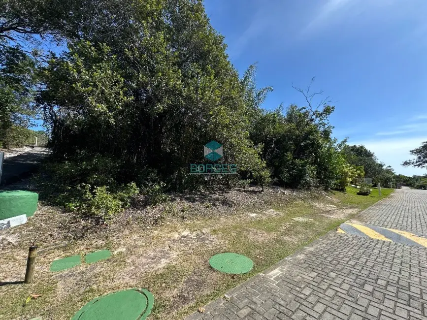 Terreno / Lote à venda em Mata De Sao Joao - BA - imagem 1 Foto 1 de Terreno / Lote à venda em Mata De Sao Joao - BA