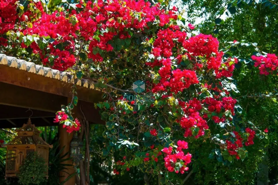 Casa de Condomínio com 7 quartos à venda, 378m2 em Mata De Sao Joao - BA - imagem 6 Foto 6 de Casa de Condomínio com 7 quartos à venda, 378m2 em Mata De Sao Joao - BA