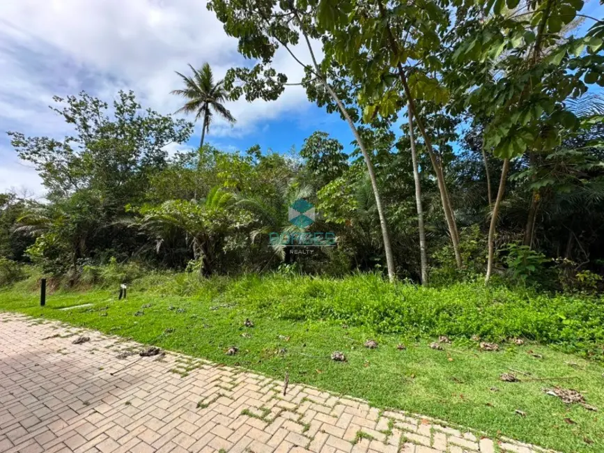 Terreno / Lote à venda, 700m2 em Mata De Sao Joao - BA - imagem 1 Foto 1 de Terreno / Lote à venda, 700m2 em Mata De Sao Joao - BA
