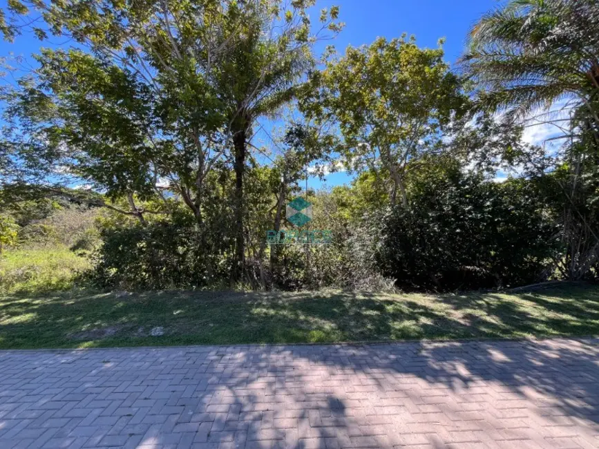 Terreno / Lote à venda, 700m2 em Mata De Sao Joao - BA - imagem 2 Foto 2 de Terreno / Lote à venda, 700m2 em Mata De Sao Joao - BA