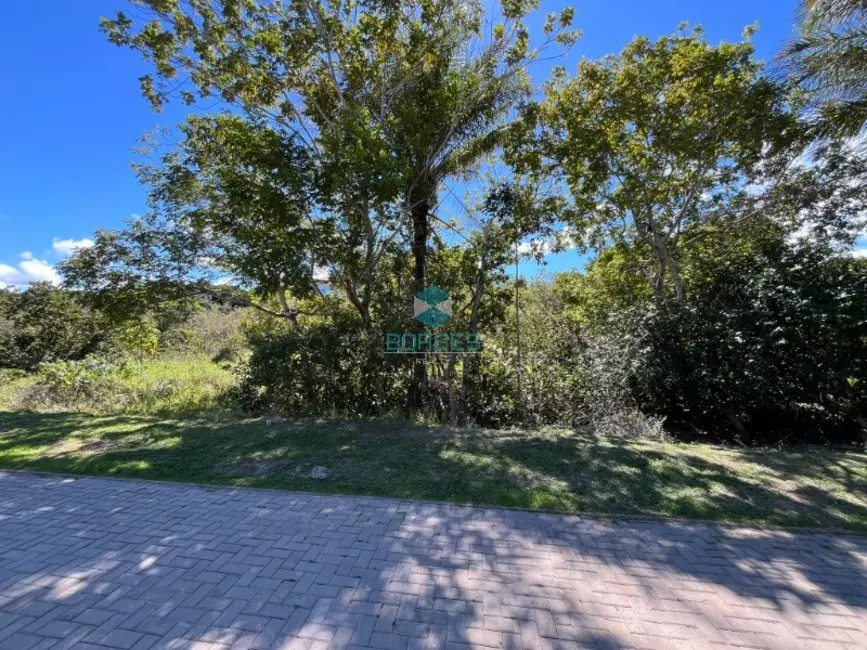 Terreno / Lote à venda, 700m2 em Mata De Sao Joao - BA - imagem 3 Foto 3 de Terreno / Lote à venda, 700m2 em Mata De Sao Joao - BA