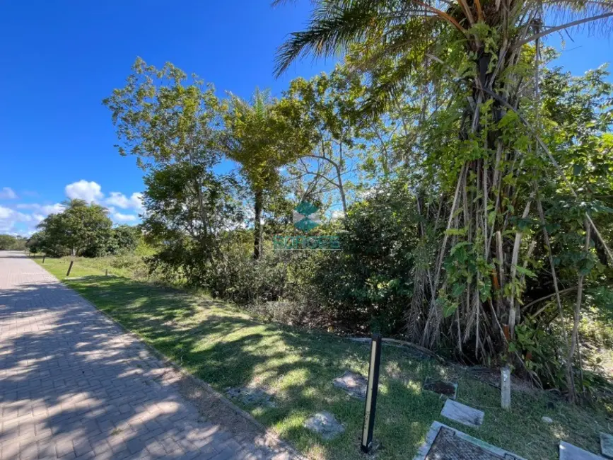 Terreno / Lote à venda, 700m2 em Mata De Sao Joao - BA - imagem 8 Foto 8 de Terreno / Lote à venda, 700m2 em Mata De Sao Joao - BA