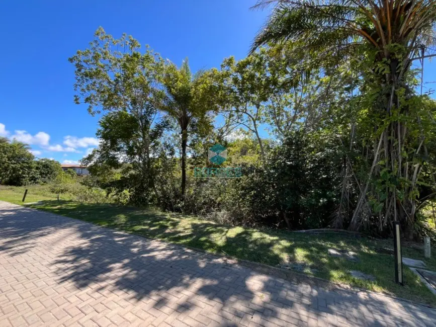 Terreno / Lote à venda, 700m2 em Mata De Sao Joao - BA - imagem 5 Foto 5 de Terreno / Lote à venda, 700m2 em Mata De Sao Joao - BA