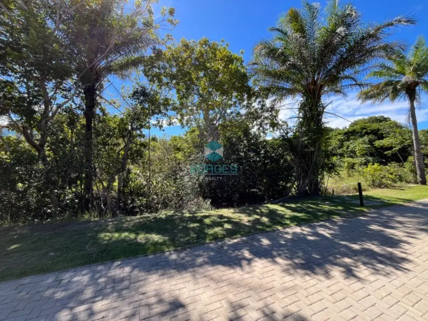 Terreno / Lote à venda, 700m2 em Mata De Sao Joao - BA - imagem 4 Foto 4 de Terreno / Lote à venda, 700m2 em Mata De Sao Joao - BA