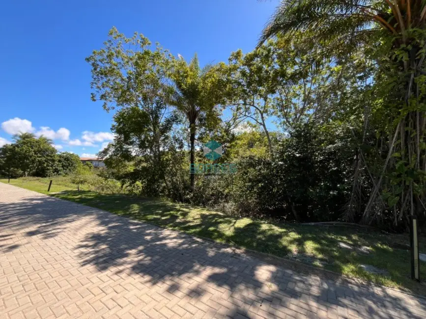 Terreno / Lote à venda, 700m2 em Mata De Sao Joao - BA - imagem 6 Foto 6 de Terreno / Lote à venda, 700m2 em Mata De Sao Joao - BA