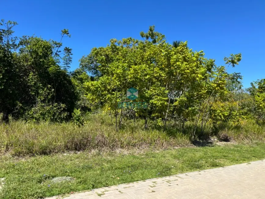 Foto 1 de Terreno / Lote à venda, 700m2 em Mata De Sao Joao - BA