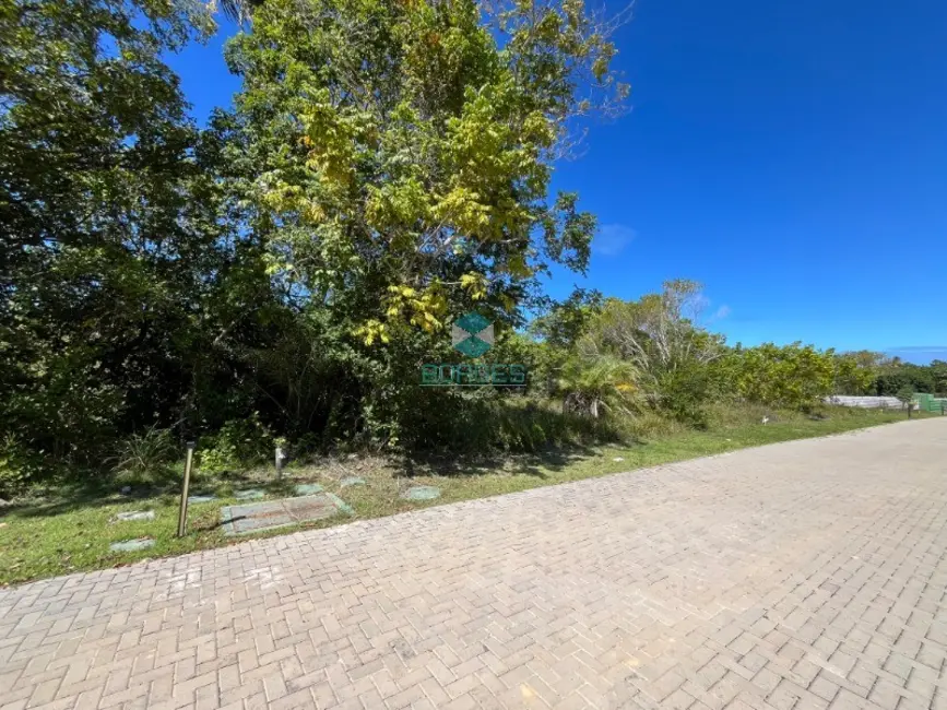 Terreno / Lote à venda, 700m2 em Mata De Sao Joao - BA - imagem 7 Foto 7 de Terreno / Lote à venda, 700m2 em Mata De Sao Joao - BA