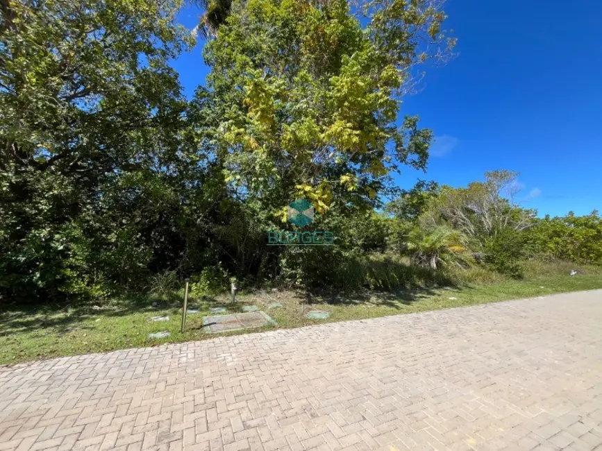 Terreno / Lote à venda, 700m2 em Mata De Sao Joao - BA - imagem 1 Foto 1 de Terreno / Lote à venda, 700m2 em Mata De Sao Joao - BA