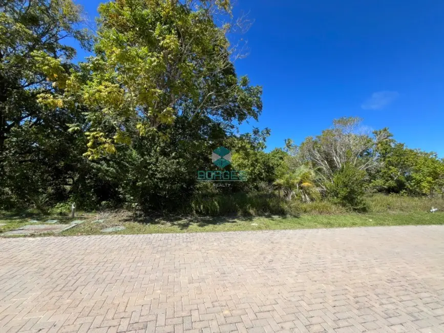 Terreno / Lote à venda, 700m2 em Mata De Sao Joao - BA - imagem 9 Foto 9 de Terreno / Lote à venda, 700m2 em Mata De Sao Joao - BA