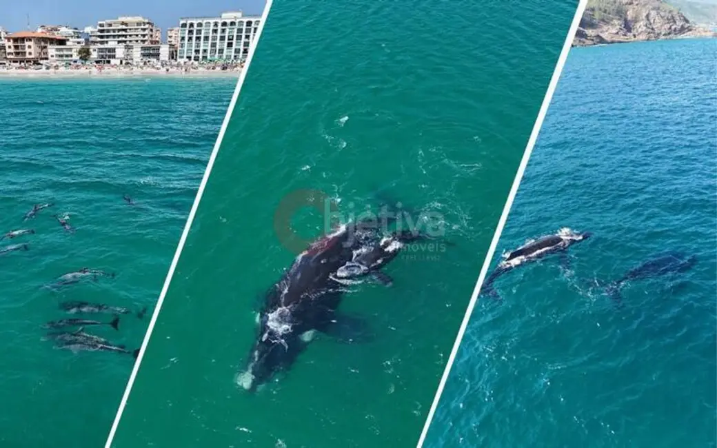 Foto 7 de Loft / Flat com 1 quarto à venda, 30m2 em Arraial Do Cabo - RJ