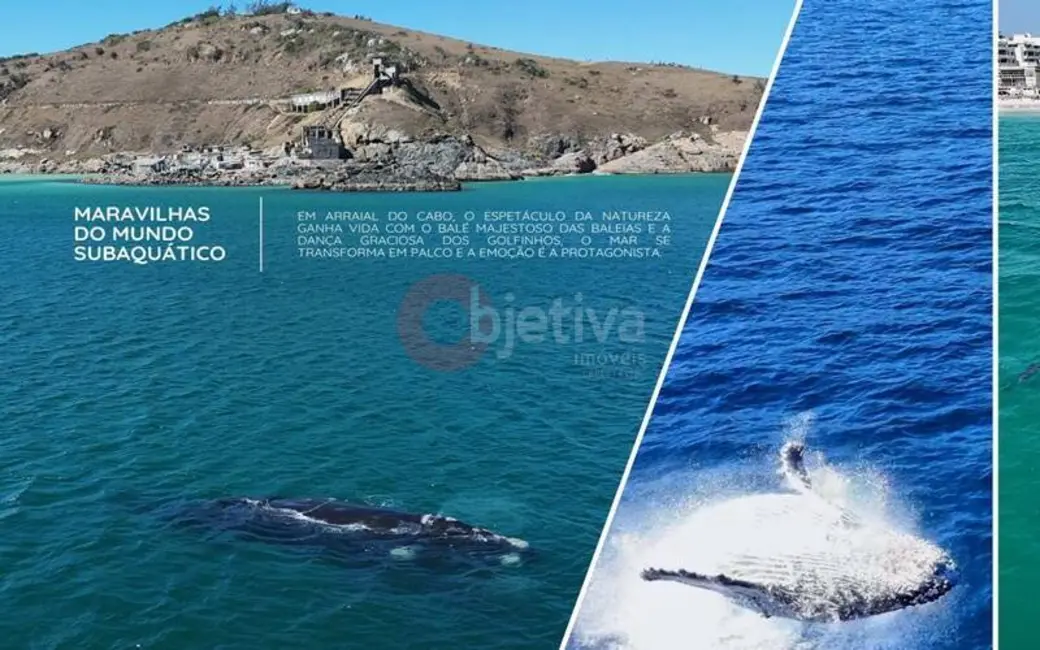 Foto 6 de Loft / Flat com 1 quarto à venda, 30m2 em Arraial Do Cabo - RJ