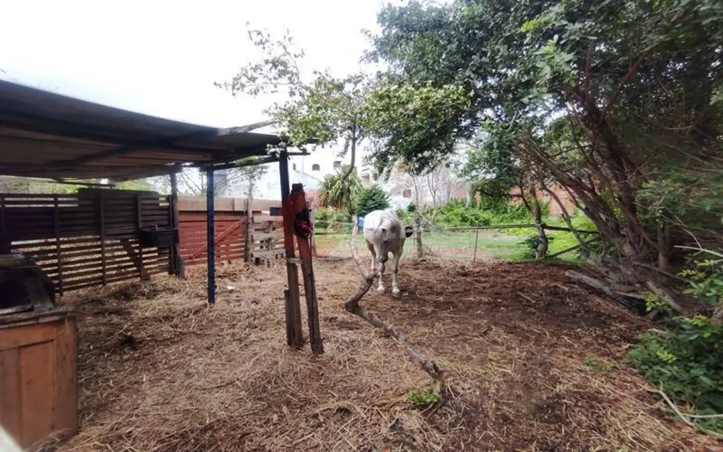 Foto 5 de Terreno / Lote à venda, 900m2 em Braga, Cabo Frio - RJ