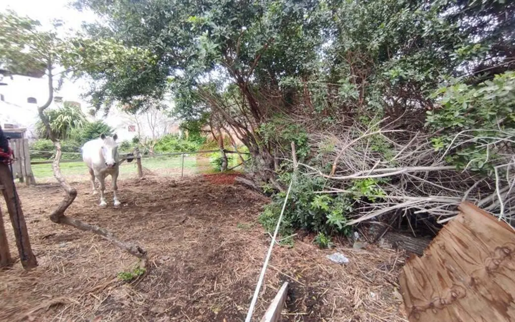Foto 4 de Terreno / Lote à venda, 900m2 em Braga, Cabo Frio - RJ
