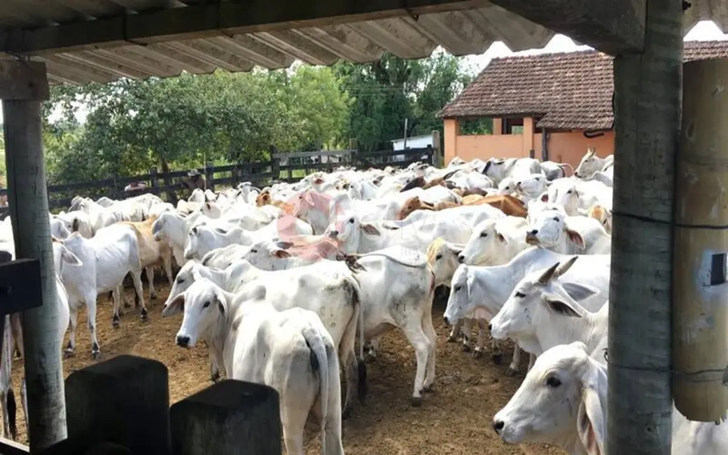 Foto 5 de Fazenda / Haras com 4 quartos à venda, 2516800m2 em Araruama - RJ