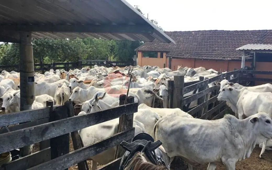 Foto 4 de Fazenda / Haras com 4 quartos à venda, 2516800m2 em Araruama - RJ