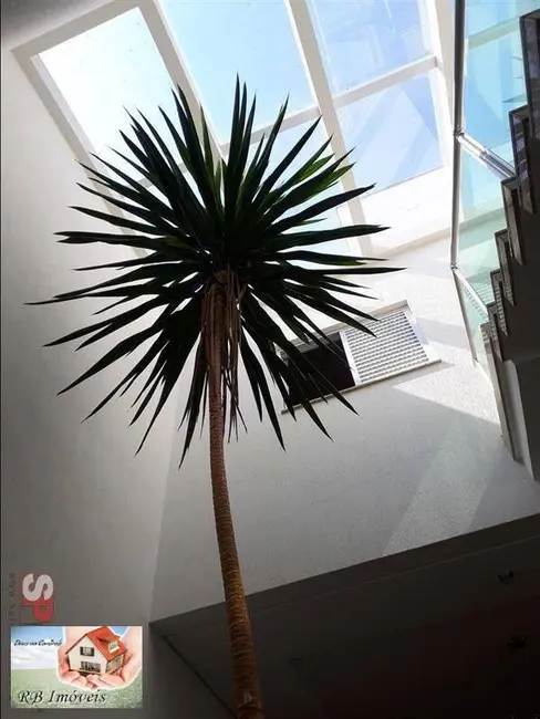 Foto 8 de Sobrado com 3 quartos à venda em Vila Scarpelli, Santo Andre - SP