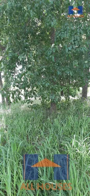 Foto 3 de Chácara à venda, 2321m2 em Mairipotaba - GO