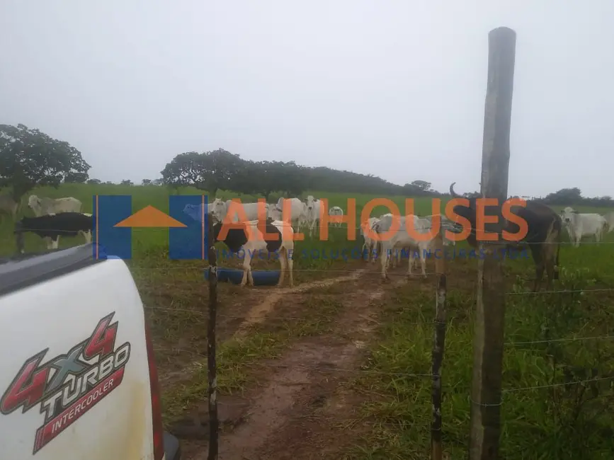 Fazenda / Haras à venda, 484000m2 em Alexania - GO - imagem 8 Foto 8 de Fazenda / Haras à venda, 484000m2 em Alexania - GO